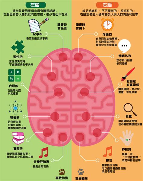 左腦適合工作